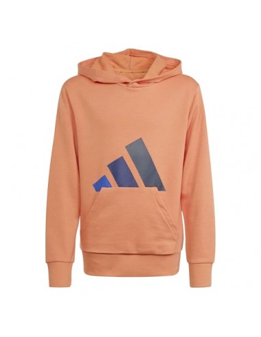 SUDADERA J BL FT HD 280