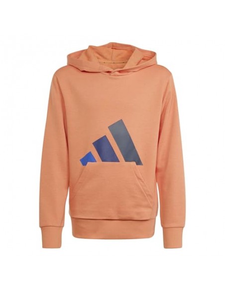 SUDADERA J BL FT HD 280