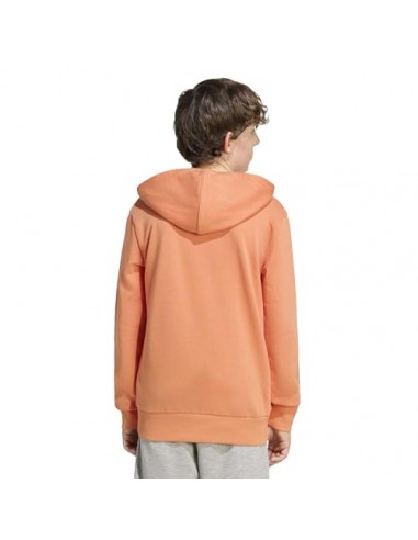 SUDADERA J BL FT HD 280