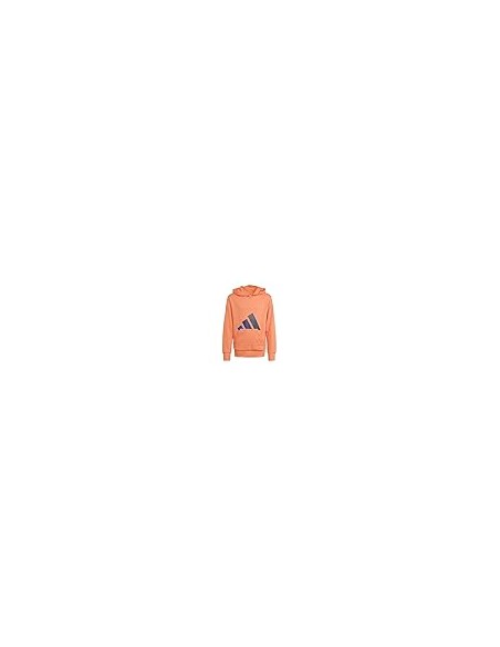 SUDADERA J BL FT HD 280