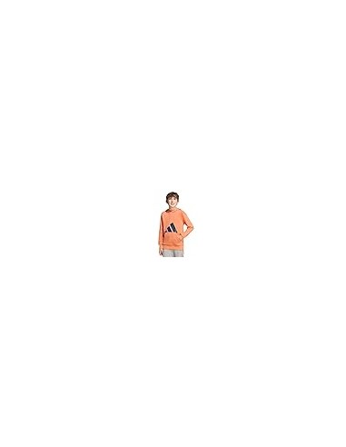 SUDADERA J BL FT HD 280