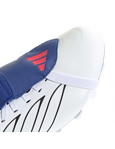 BOTAS DE FÚTBOL PREDATOR CLUB FT FG
