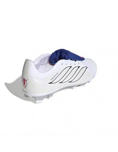 BOTAS DE FÚTBOL PREDATOR CLUB FT FG