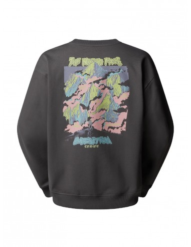 SUDADERA U EXPEDITION CELEBRATION TNFLIGHTG
