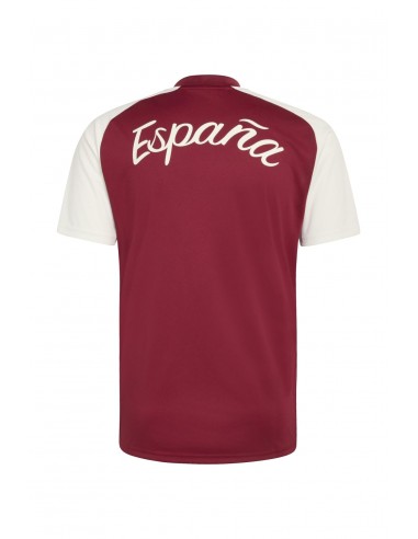 CAMISETA DE CALENTAMIENTO SEGUNDA EQUIPACIÓN...
