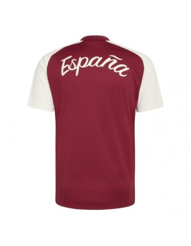 CAMISETA DE CALENTAMIENTO SEGUNDA EQUIPACIÓN...