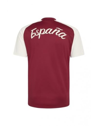 CAMISETA DE CALENTAMIENTO SEGUNDA EQUIPACIÓN...