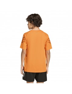 CAMISETA TÉCNICA 2