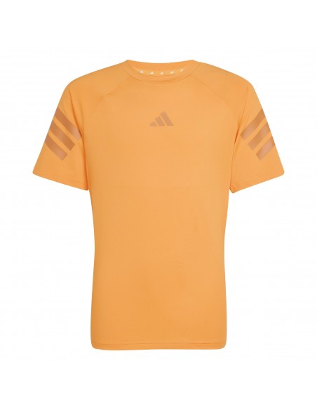 CAMISETA TÉCNICA