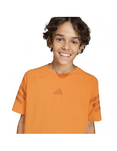 CAMISETA TÉCNICA