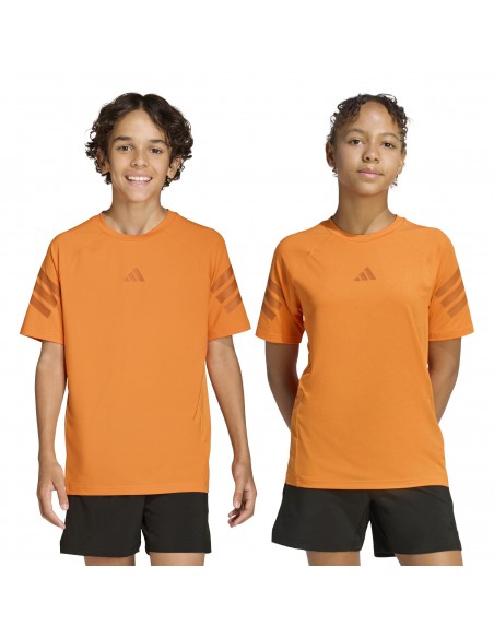 CAMISETA TÉCNICA