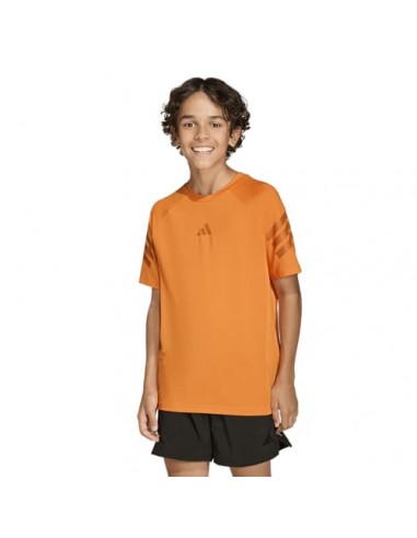 CAMISETA TÉCNICA