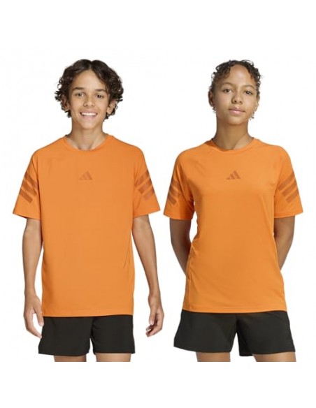 CAMISETA TÉCNICA