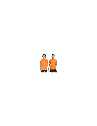 CAMISETA TÉCNICA