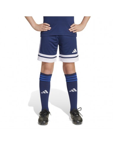Pantalones de equipos Adidas-SQUA25 SHO...