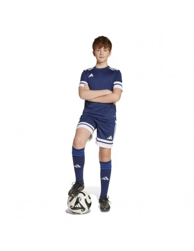 Pantalones de equipos Adidas-SQUA25 SHO...