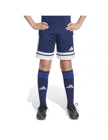 Pantalones de equipos Adidas-SQUA25 SHO...