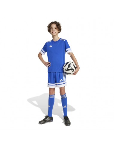 Camiseta de equipos Adidas-SQUA25 JSY Y-JJ0054...