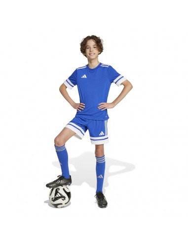Pantalones de equipos Adidas-SQUA25 SHO...