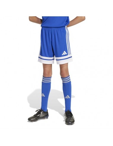 Pantalones de equipos Adidas-SQUA25 SHO...