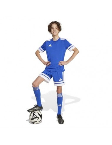 Pantalones de equipos Adidas-SQUA25 SHO...