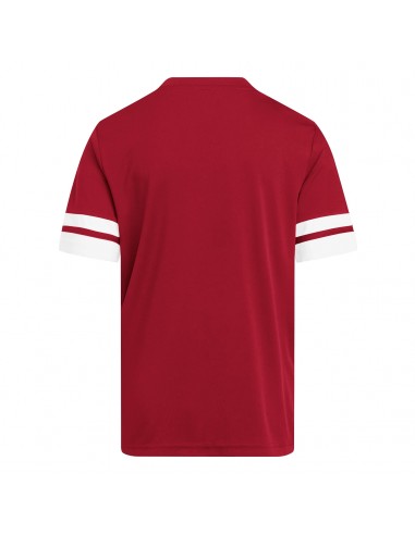 Camiseta de equipos Adidas-SQUA25 JSY Y-JJ0051...
