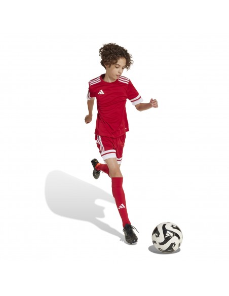 Camiseta de equipos Adidas-SQUA25 JSY Y-JJ0051 ROJO-UNISEX JUNIOR