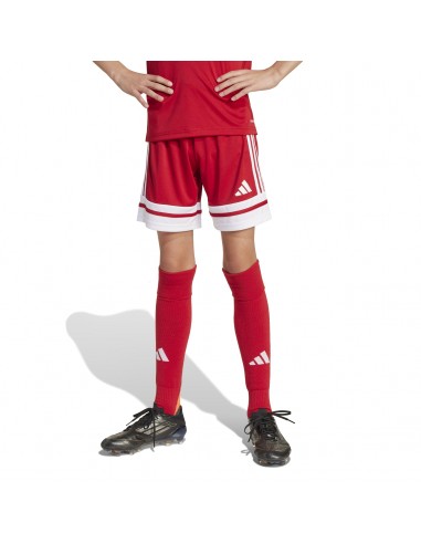 Pantalones de equipos Adidas-SQUA25 SHO...