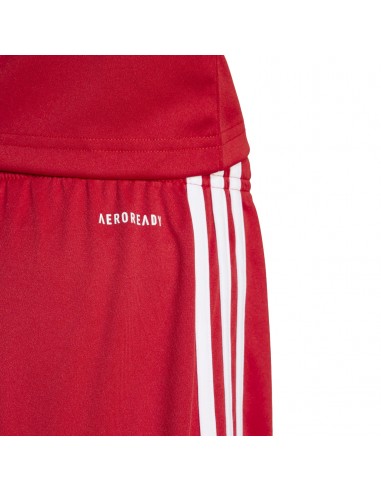 Pantalones de equipos Adidas-SQUA25 SHO...