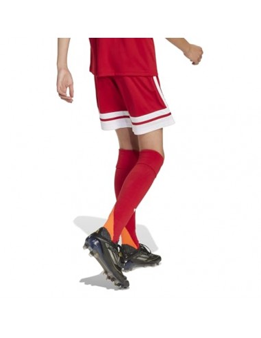 Pantalones de equipos Adidas-SQUA25 SHO...
