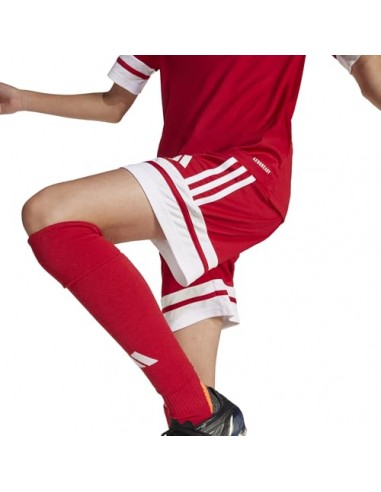 Pantalones de equipos Adidas-SQUA25 SHO...