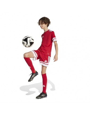 Pantalones de equipos Adidas-SQUA25 SHO...