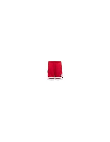 Pantalones de equipos Adidas-SQUA25 SHO...