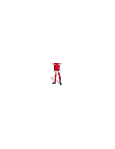 Pantalones de equipos Adidas-SQUA25 SHO...