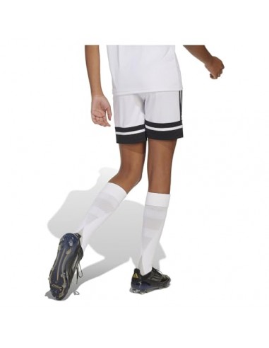 Pantalones de equipos Adidas-SQUA25 SHO...