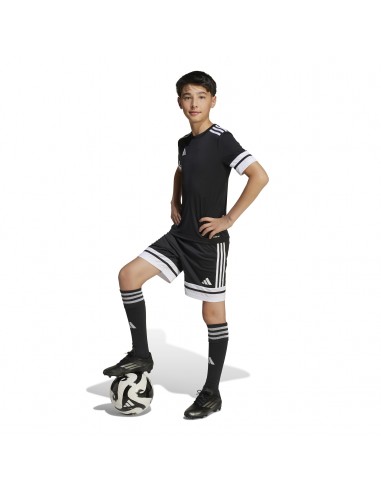 Camiseta de equipos Adidas-SQUA25 JSY Y-JJ0052...