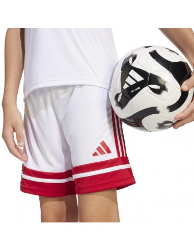 Pantalones de equipos Adidas-SQUA25 SHO...