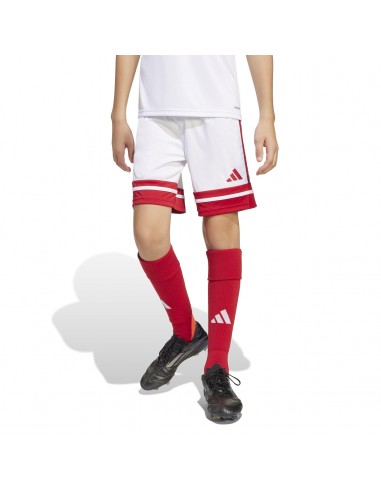 Pantalones de equipos Adidas-SQUA25 SHO...