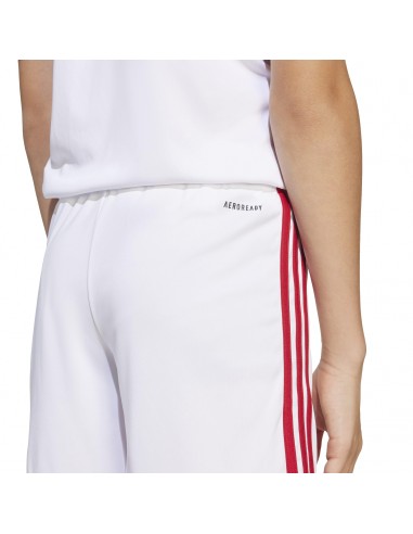 Pantalones de equipos Adidas-SQUA25 SHO...