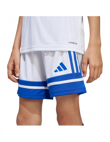 Pantalones de equipos Adidas-SQUA25 SHO...