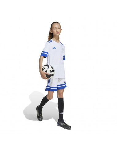 Pantalones de equipos Adidas-SQUA25 SHO...