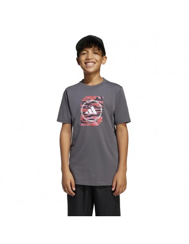 Camiseta manga corta Adidas-B CAMO BOX-JM8232...