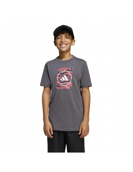 Camiseta manga corta Adidas-B CAMO BOX-JM8232 GRIS-NIÑO