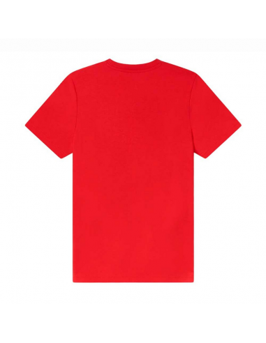 CAMISETA PUMA GRAPHIC TEE B  FOR ALL TIME