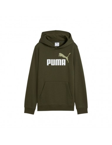 Sudadera verde PUMA ESS 2 COLOR LOGO HOODIE FL...